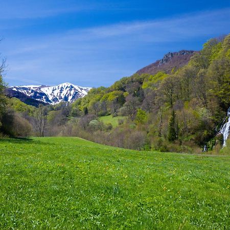 La Dormeuse Du Val Vila Chambon-sur-Lac Exterior foto
