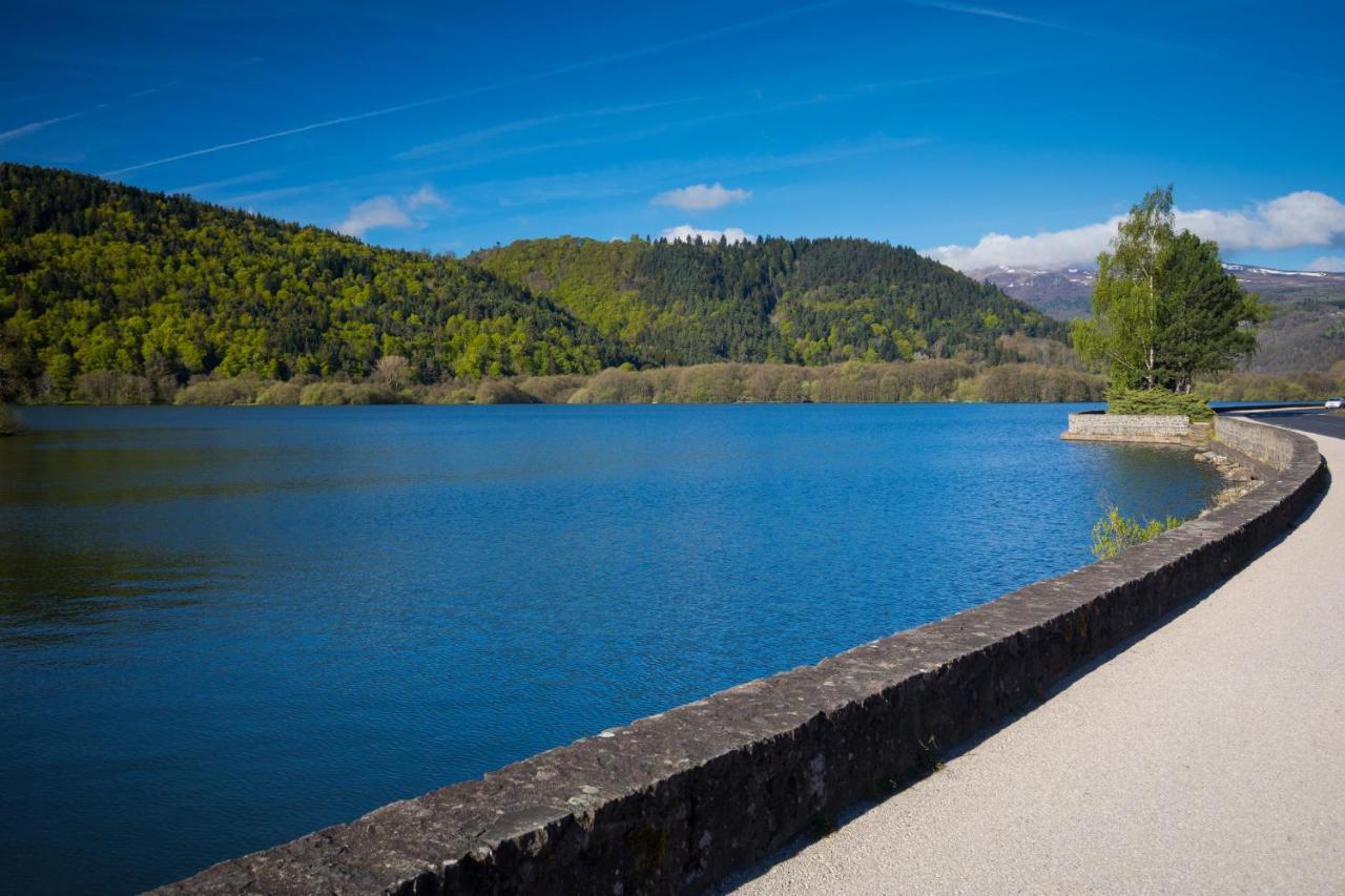La Dormeuse Du Val Vila Chambon-sur-Lac Exterior foto
