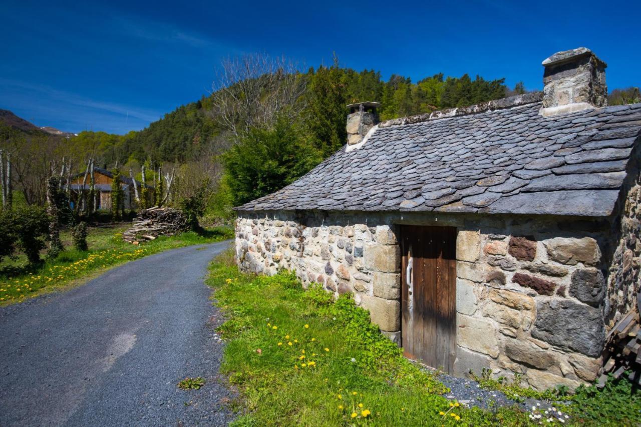 La Dormeuse Du Val Vila Chambon-sur-Lac Exterior foto