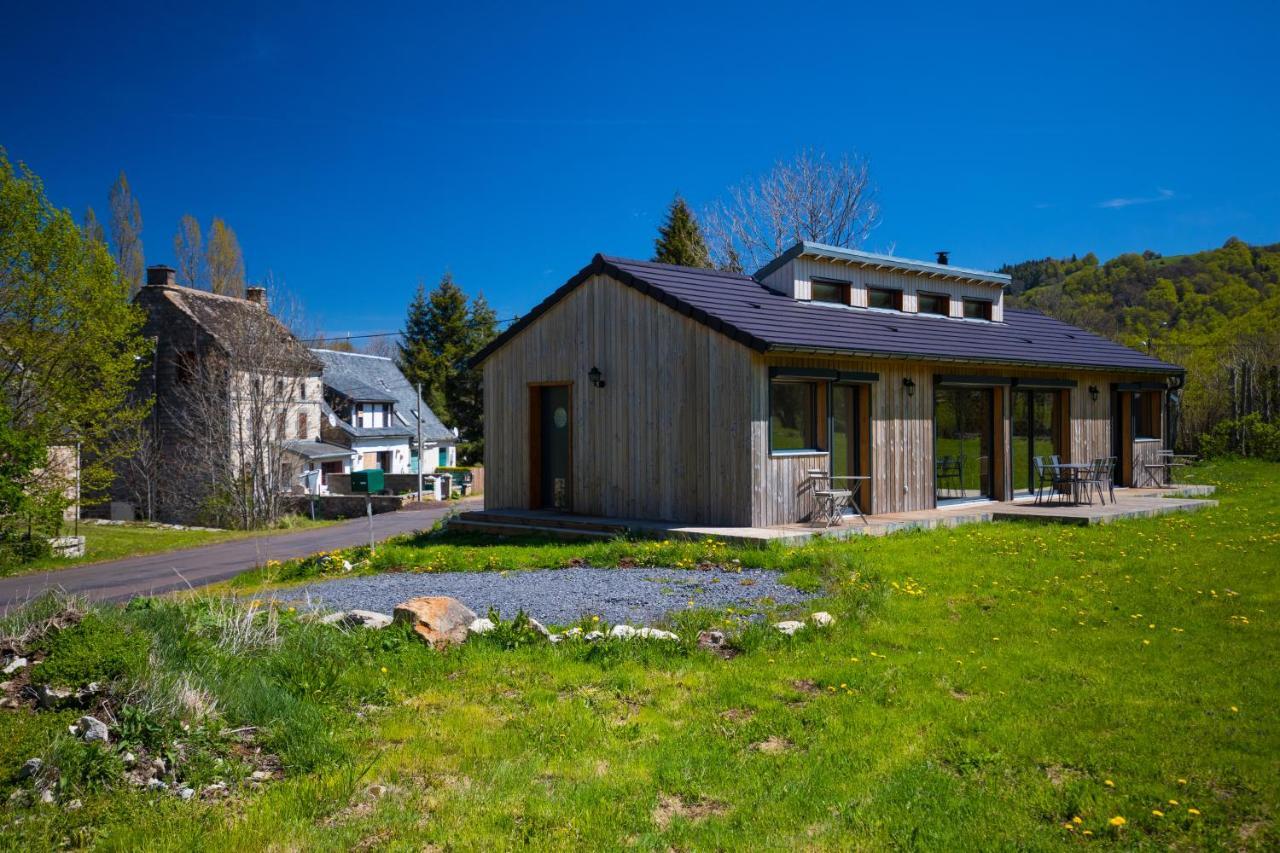 La Dormeuse Du Val Vila Chambon-sur-Lac Exterior foto