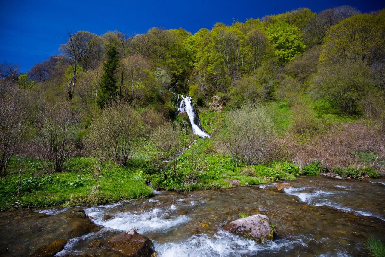 La Dormeuse Du Val Vila Chambon-sur-Lac Exterior foto